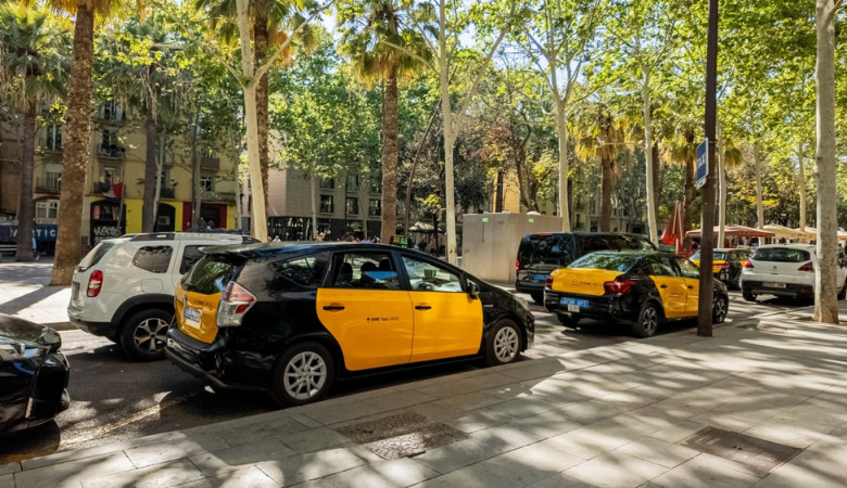 Taxis,Line,Up,On,A,Sunlit,Street,Under,Lush,Trees